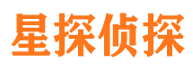 江城侦探公司